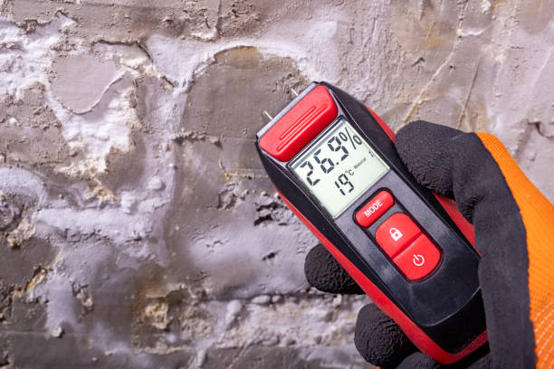 Best Residential Mold Remediation in Haskell, AR