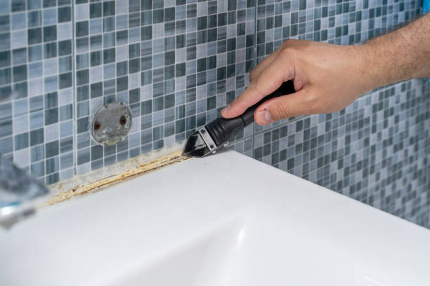 Best Mold Remediation for Schools in Haskell, AR