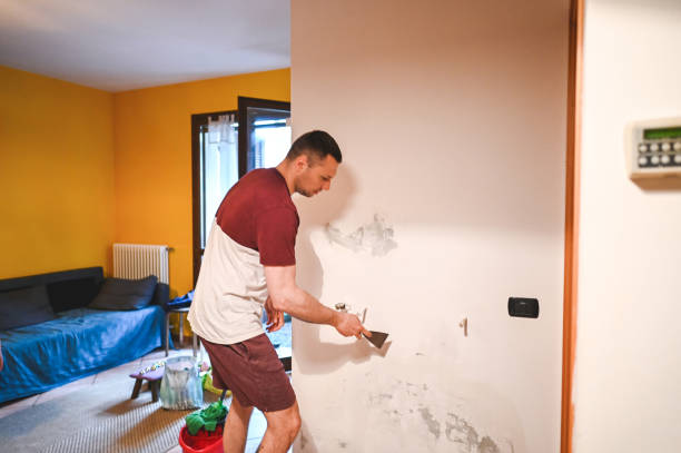 Best DIY Mold Remediation Support Services in Haskell, AR